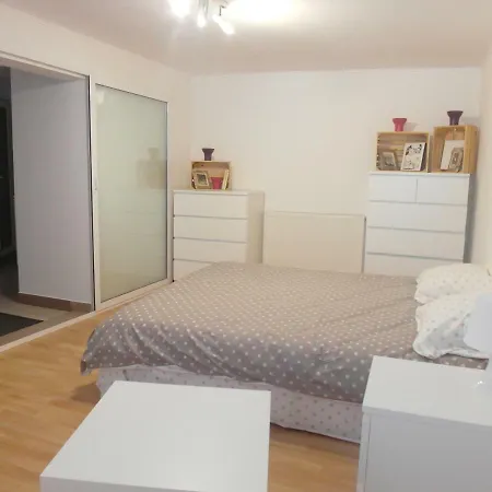 Studio Moliere Apartment Brasov