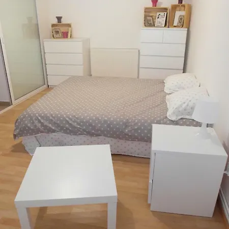 Studio Moliere Apartment Brasov